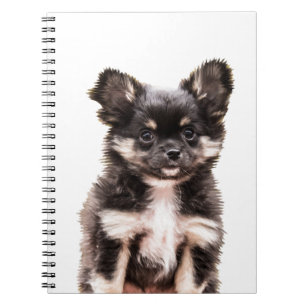 Chihuahua Puppy Dog Notitieboek