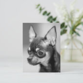 Chihuahua Puppy Dog Post Kaart (Staand voorkant)