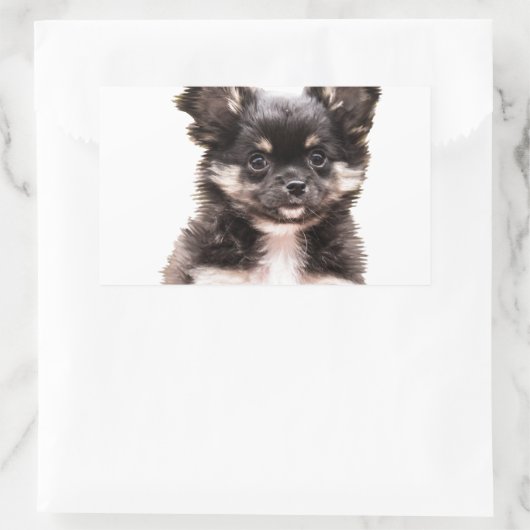 Chihuahua Puppy Dog Rechthoekige Sticker (Tas)