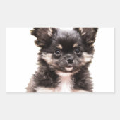 Chihuahua Puppy Dog Rechthoekige Sticker (Voorkant)