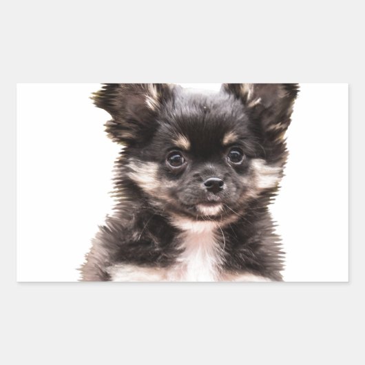 Chihuahua Puppy Dog Rechthoekige Sticker (Voorkant)