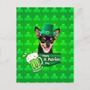 Chihuahua Puppy Dog St. Patrick's Day Groene Klave Briefkaart