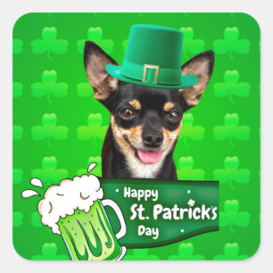 Chihuahua Puppy Dog St. Patrick's Day Groene Klave Vierkante Sticker