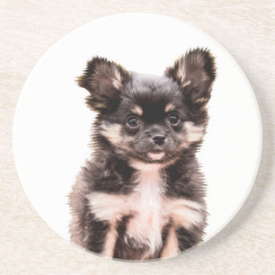 Chihuahua Puppy Dog Zandsteen Onderzetter