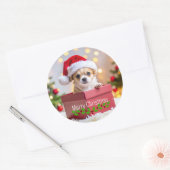 Chihuahua Puppy Dog's Christmas Ronde Sticker (Envelop)