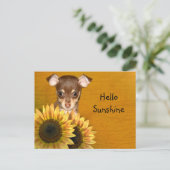 Chihuahua puppy en zonnebloemen briefkaart (Staand voorkant)