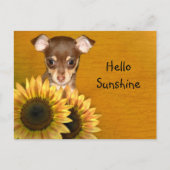 Chihuahua puppy en zonnebloemen briefkaart (Voorkant)