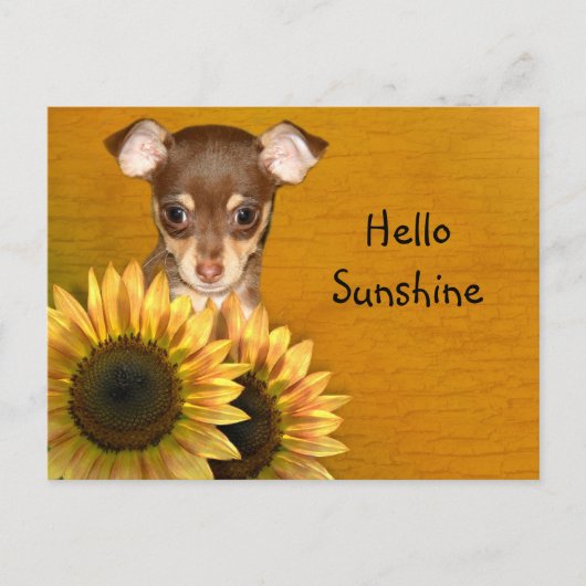 Chihuahua puppy en zonnebloemen briefkaart (Voorkant)