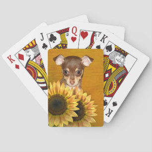 Chihuahua puppy en zonnebloemen speelkaarten
