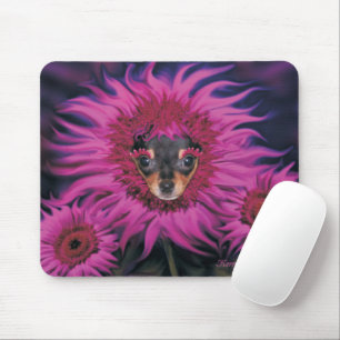 Chihuahua Puppy Flower Blossom Muismat