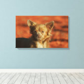 Chihuahua Puppy Headshot Canvas Afdruk (Insitu (Houten vloer))