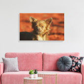 Chihuahua Puppy Headshot Canvas Afdruk (Insitu (Woonkamer))