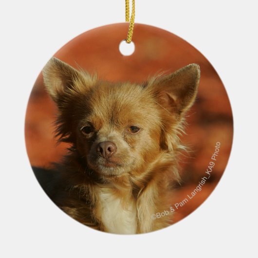 Chihuahua Puppy Headshot Keramisch Ornament (Voorkant)