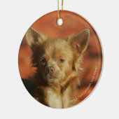 Chihuahua Puppy Headshot Keramisch Ornament (Links)