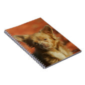 Chihuahua Puppy Headshot Notitieboek (Rechterzijde)
