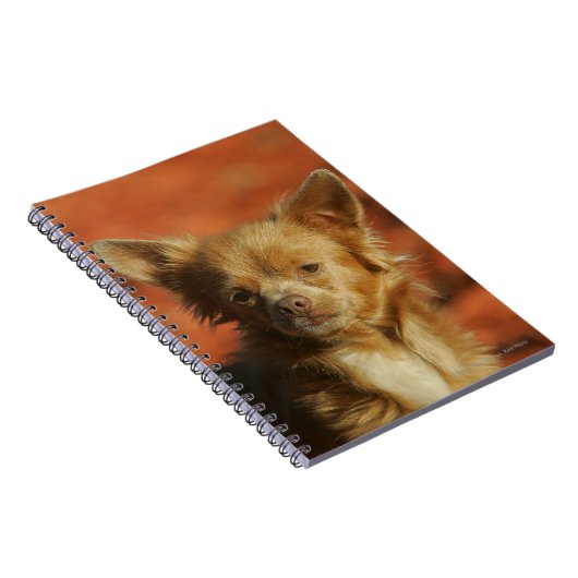 Chihuahua Puppy Headshot Notitieboek (Rechterzijde)