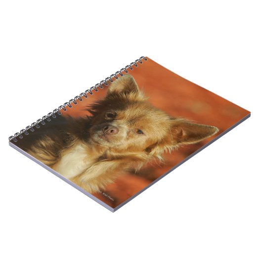 Chihuahua Puppy Headshot Notitieboek (Linkerzijde)
