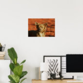 Chihuahua Puppy Headshot Poster (Thuiskantoor)