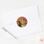 Chihuahua Puppy Headshot Ronde Sticker (Envelop)
