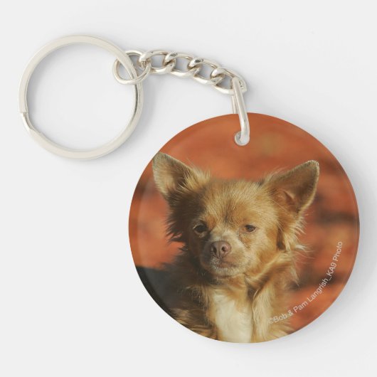 Chihuahua Puppy Headshot Sleutelhanger (Voorkant)