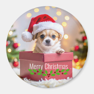 Chihuahua Puppy Hond Kerstmis Magneet