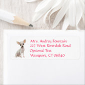 Chihuahua Puppy Hond Retouradres Naam Label (Insitu)