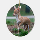Chihuahua Puppy Keramisch Ornament (Links)