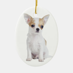 Chihuahua puppy keramisch ornament