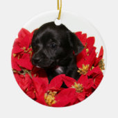 Chihuahua puppy Kerstmis Keramisch Ornament (Voorkant)