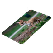 Chihuahua Puppy Magneet (Linkerzijde)