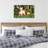 Chihuahua Puppy met appels Canvas Afdruk (Insitu (Slaapkamer))