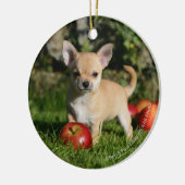 Chihuahua Puppy met appels Keramisch Ornament (Links)