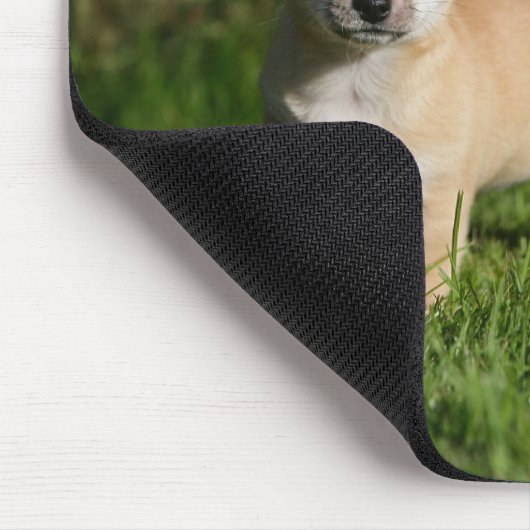 Chihuahua Puppy met appels Muismat (Hoek)