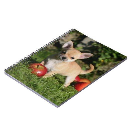 Chihuahua Puppy met appels Notitieboek (Linkerzijde)