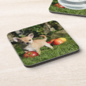 Chihuahua Puppy met appels Onderzetter (Linkerzijde)