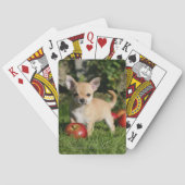 Chihuahua Puppy met appels Pokerkaarten (Achterkant)