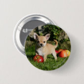 Chihuahua Puppy met appels Ronde Button 5,7 Cm (Voorkant /achterkant)