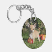 Chihuahua Puppy met appels Sleutelhanger (Voorkant Links)