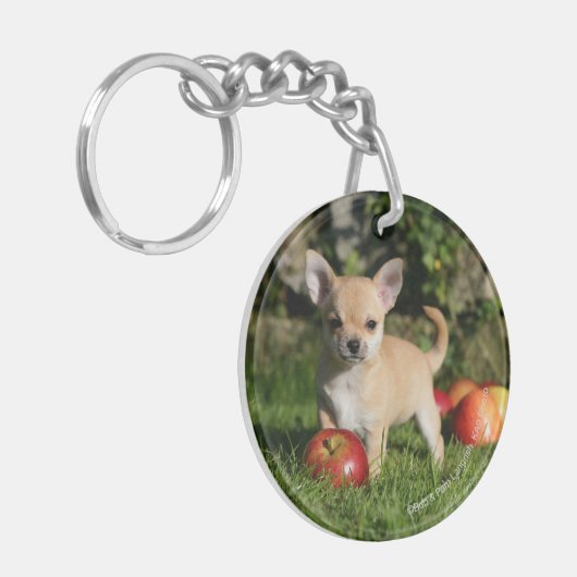 Chihuahua Puppy met appels Sleutelhanger (Voorkant Links)