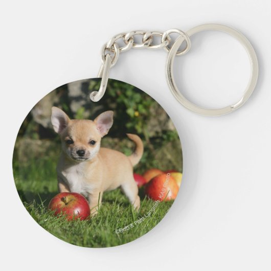 Chihuahua Puppy met appels Sleutelhanger (Achterkant)