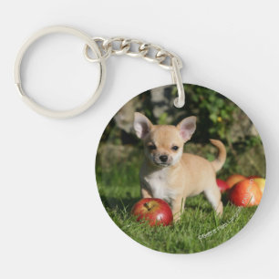 Chihuahua Puppy met appels Sleutelhanger