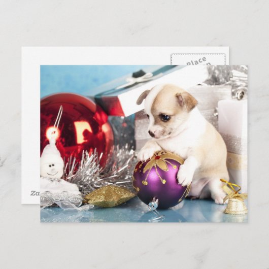 Chihuahua puppy met kerstbal feestdagenkaart (Voorkant / Achterkant)