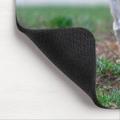 Chihuahua Puppy Muismat (Hoek)