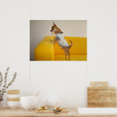 Chihuahua puppy op gele sofa poster (Keuken)