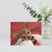 Chihuahua puppy-postkaart briefkaart (Staand voorkant)