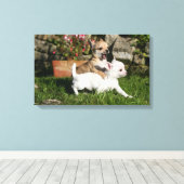 Chihuahua Puppy Pplay Canvas Afdruk (Insitu (Houten vloer))