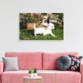 Chihuahua Puppy Pplay Canvas Afdruk (Insitu (Woonkamer))