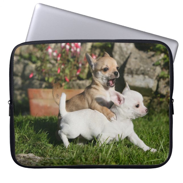 Chihuahua Puppy Pplay Laptop Sleeve (Voorkant)