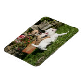 Chihuahua Puppy Pplay Magneet (Linkerzijde)