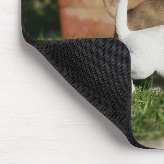 Chihuahua Puppy Pplay Muismat (Hoek)